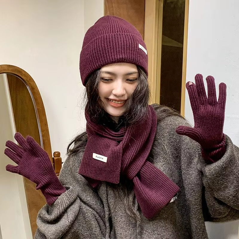 Écharpe d'hiver tricotée femme couleur unie chapeau écharpe gants femmes coupe-vent adulte trois piè