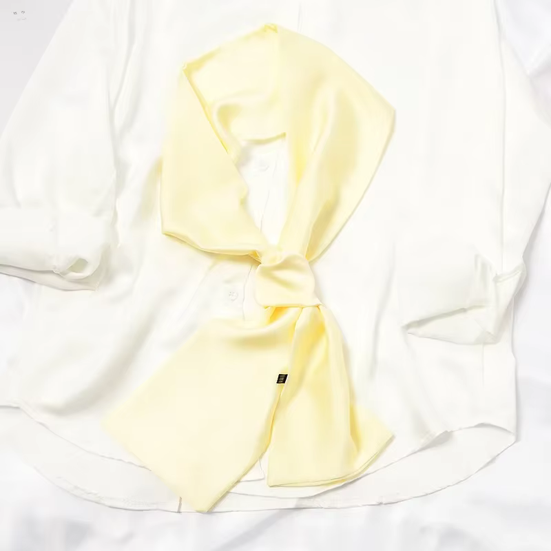 Longue écharpe de cou pour femme, bande de sauna unie, écharpe de cheveux en satin, écharpes de sac 