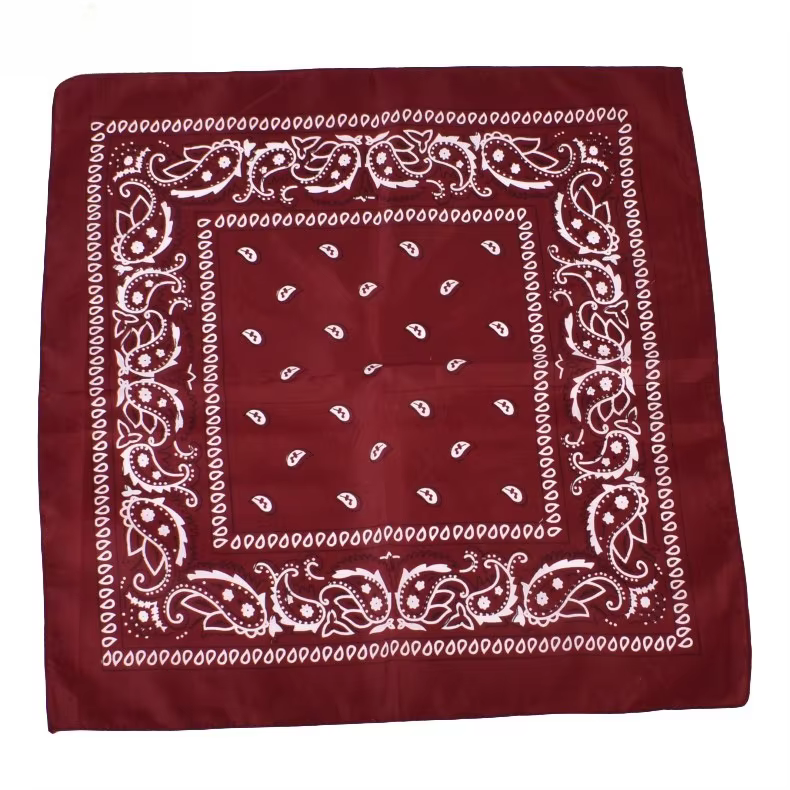 Écharpe Hip Hop Cowboy Paisley, grand bandana carré pour homme et femme, 53x53cm, noir, rouge, blanc