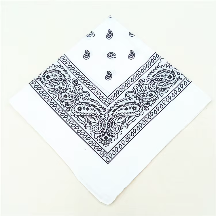Bandana carré en coton tendance Hip Hop 2026, 54cm*54cm, motif Paisley noir et rouge, imprimé, pour