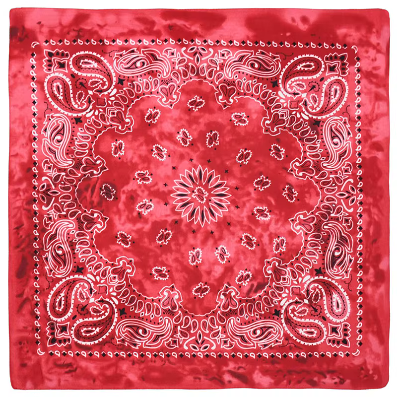 Écharpe carrée en polyester de haute qualité pour hommes et femmes, bande de sauna Paisley, écharpes